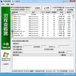 小焱进程查看器 v1.0 绿色版 高效系统进程查询软件